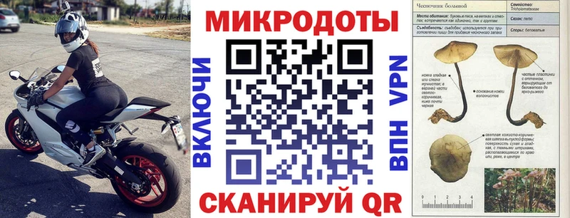 Купить где Каргат Галлюциногенные грибы ЛСД